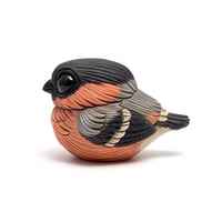 Image 1 of Chubby Bird: Bullfinch
