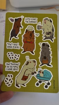 Guinea Pig Sticker Sheet