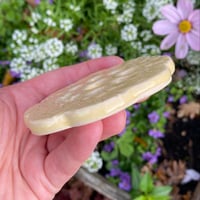 Image 2 of Pale Yellow Embossed Ceramic Flower Arranging Frog (9 hole)