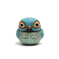 Image 3 of Chubby Bird: Blue Indian Ringneck