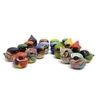 Image 8 of Chubby Bird: Masked Trogon