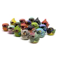 Image 7 of Chubby Bird: Splendid Fairywren