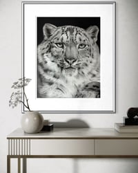 Image 6 of Giclee print “Snow Royal” 2025