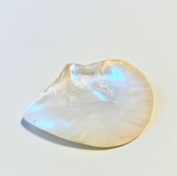 Image 1 of Grand vide-poches huître perlière en nacre polie vintage 1970s