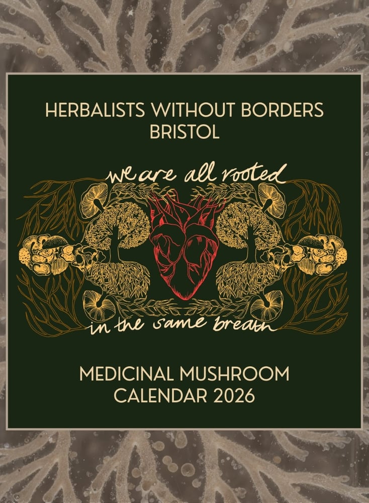 Image of 2026 Calendar - SINGLE COPY