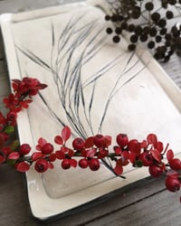 Image 3 of Plat rectangle d'automne