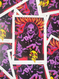 Image 2 of ‘Ozzy’