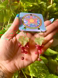 Image 2 of Red Grapes 