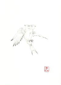 "Split" by Erika Sanada