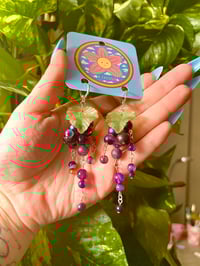 Image 1 of Xtra Long Amethyst Grapes 