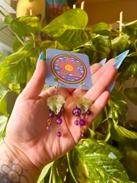 Image 3 of Amethyst Grapes 