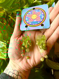 Image 1 of Foggy Green Grapes 