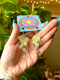 Image 2 of Crystal Grapes 