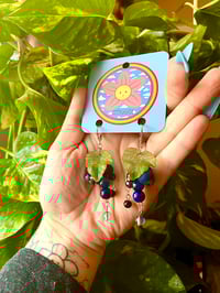 Image 1 of Navy Grapes