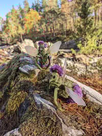 Image 1 of Thistlebug