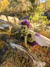 Image 3 of Thistlebug