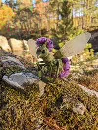 Image 4 of Thistlebug