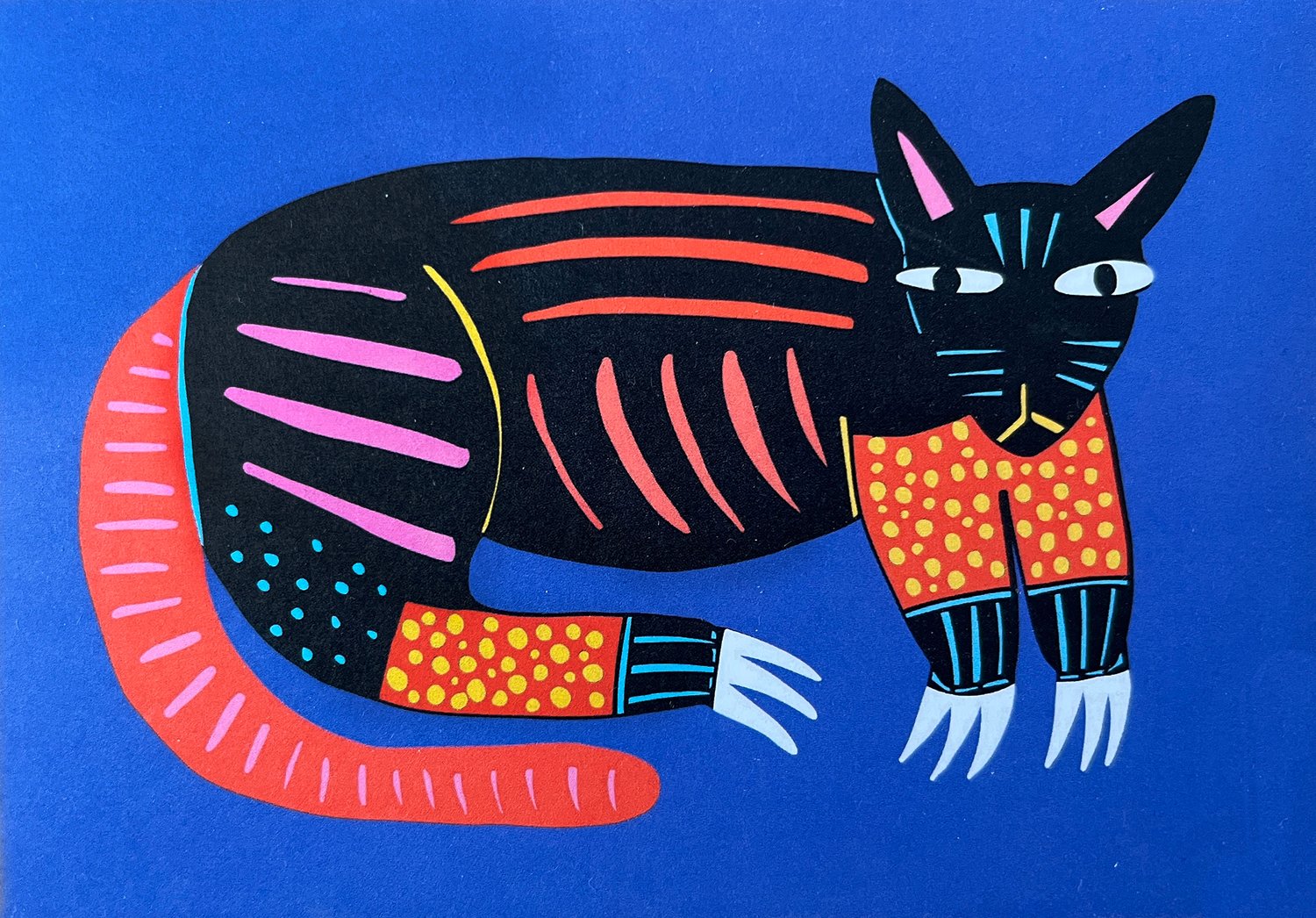 Scratchy cat card x 5