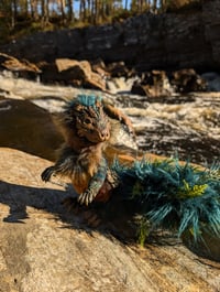 Image 3 of Hornwortle