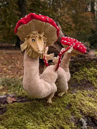 Image 5 of Amanita Mushroom Dragon