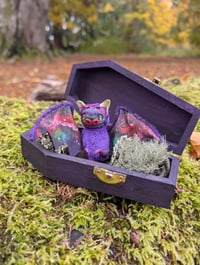 Image 1 of Baby Aurorabat