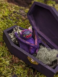 Image 2 of Baby Aurorabat