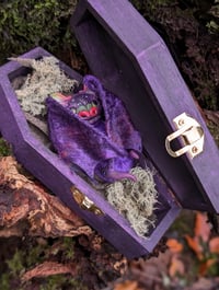 Image 4 of Baby Aurorabat