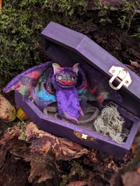 Image 5 of Baby Aurorabat