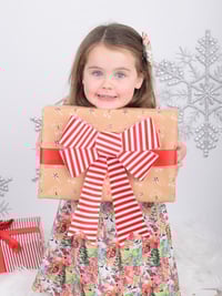 Image 1 of Christmas photography sessions