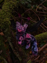 Image 1 of Felaestis