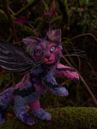 Image 3 of Felaestis