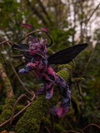 Image 4 of Felaestis