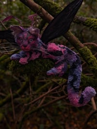 Image 5 of Felaestis