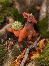 Image 1 of Spinystag