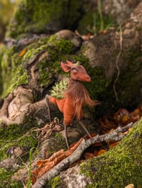 Image 3 of Spinystag