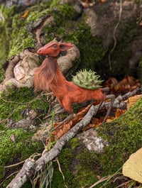 Image 4 of Spinystag