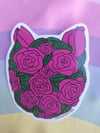Rosa Pastel Gato