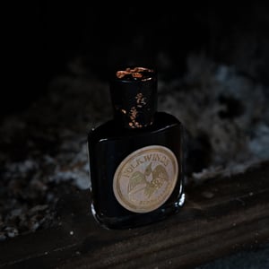 Image of Camp Summerland: The JUB JUB BIRD preorder 