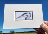 Image 2 of Great Blue Heron - matted art print