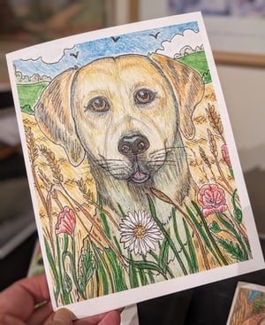 Image of All sorts of dogs