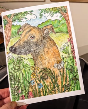 Image of All sorts of dogs