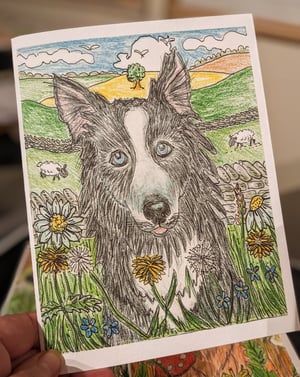 Image of All sorts of dogs