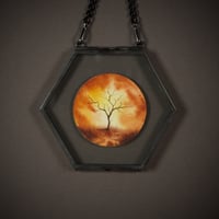 Image 1 of A pity to lose so much