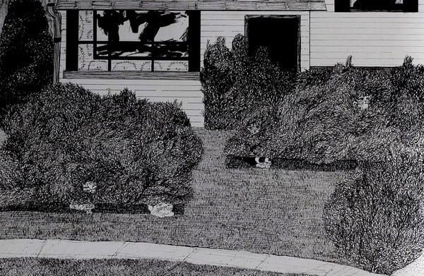 Image of Nice Hedges