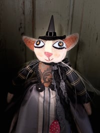 Image 5 of Kitty Witch - with Spun Cotton Mushroom