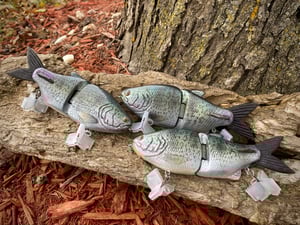 Image of 6.5 5150 Winged Xslowsink (Black Crappie)