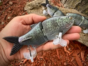 Image of 6.5 5150 Winged Xslowsink (Black Crappie)