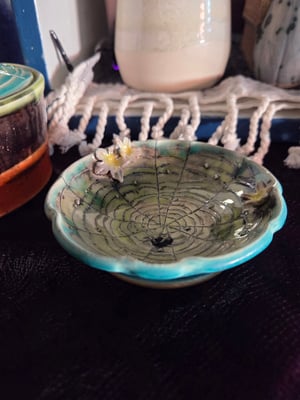 Image of Little Web Dish 