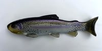 9.25" Line Through/Weedless Trout - 9$ Rainbow