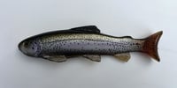 9.25" Line Through/Weedless Trout - Golden Ghost